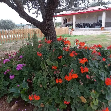 Bed & Breakfast Casa Rural La Hoja El Valle Valdecaballeros